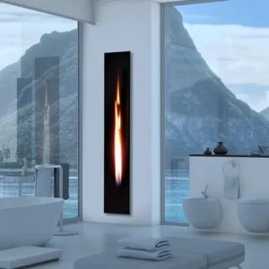 Cheminées à Gaz